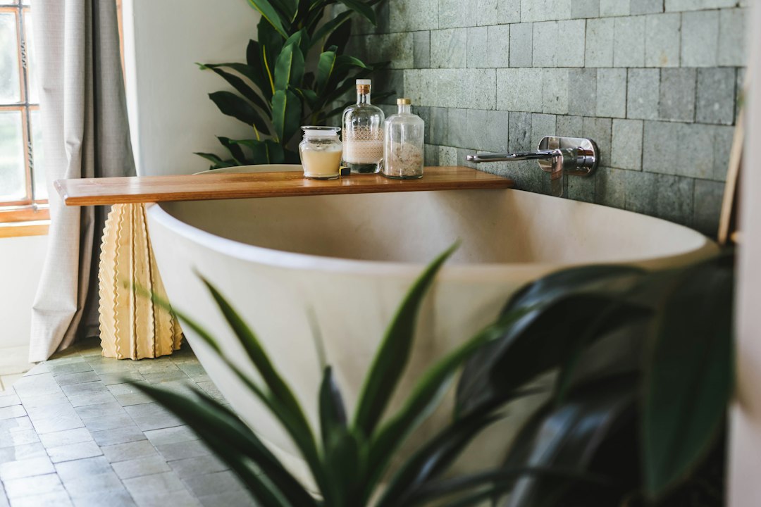 Bathtub beside a bathroom wall and plant