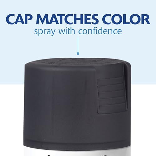 Rust-Oleum 331187 Painter's Touch 2X Ultra Cover Spray Paint, 12 oz, Ultra Matte Slate (Pack of 4)