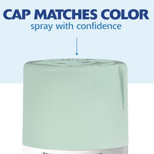 Rust-Oleum Painter's Touch 2X Ultra Cover Spray Paint, Satin Renew