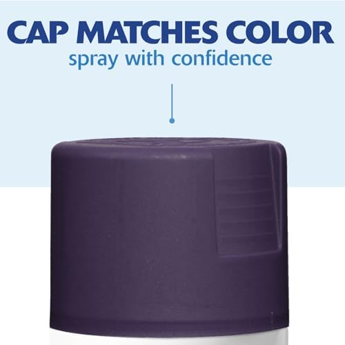 Rust-Oleum Painter's Touch 2X Ultra Cover Spray Paint, Satin Deep Purple