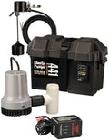 Liberty Pumps 441 Battery Back-Up Emergency Sump Pump System