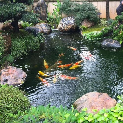Adroiteet 15 x 25 FT Pond Liner, Fish Pond HDPE Liner, Pond Liners for Outdoor Ponds, Koi Ponds, Garden Fountain, Waterfall
