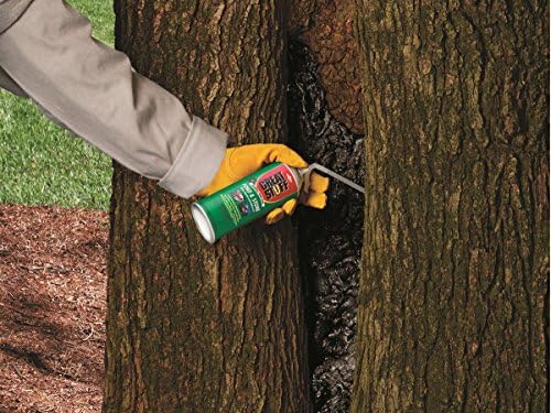 GREAT STUFF Pond & Stone Gap Filler | Insulating Foam Sealant, 12 oz. Can – Black