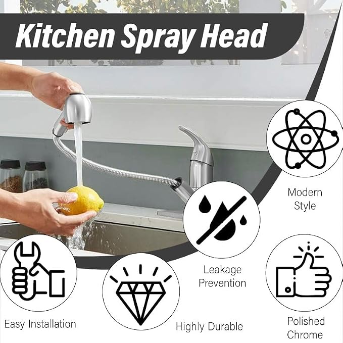 Kitchen Faucet Head Replacement,2-Function Pull Out Sink Sprayer