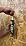 OB1 Universal Caulk Sealant & Adhesive Gray 10.1oz - 1 Cartridge